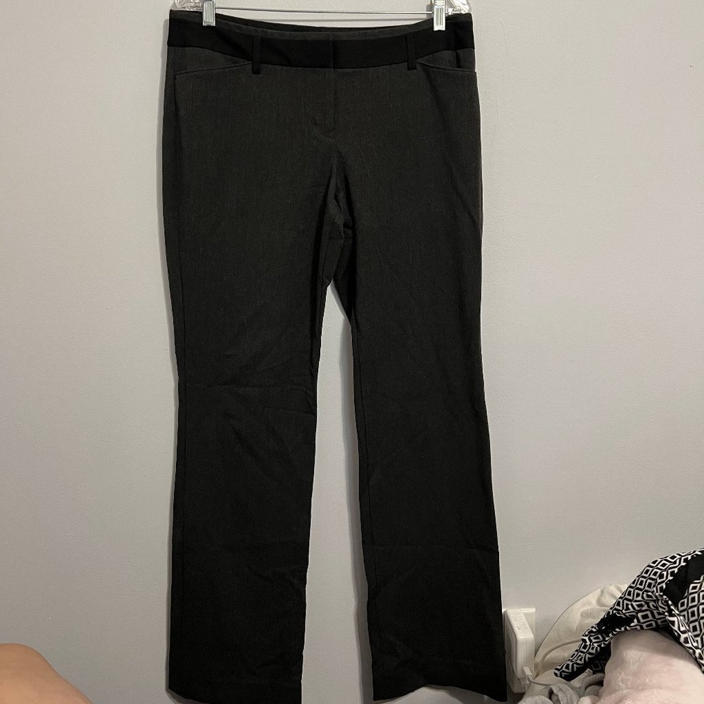 Express Work/Dress Pants